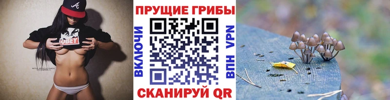 kraken маркетплейс  Мензелинск  Псилоцибиновые грибы Psilocybine cubensis 